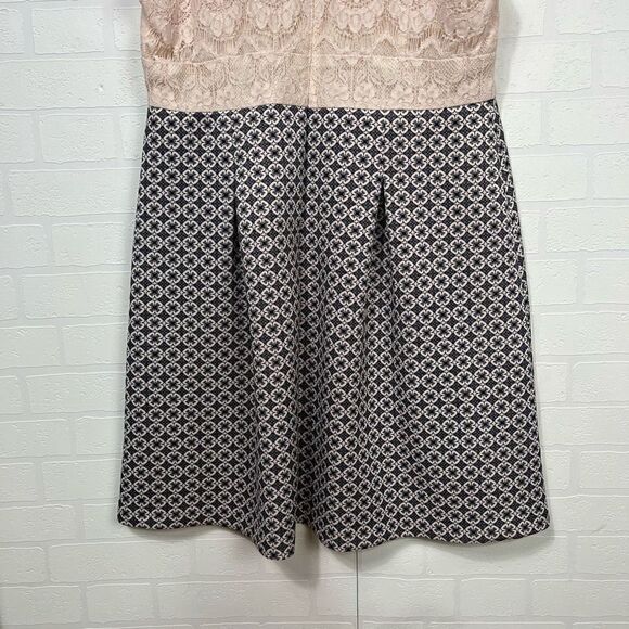 Adrianna Papell Cream and Black Lace Dress - Picture 9 of 15